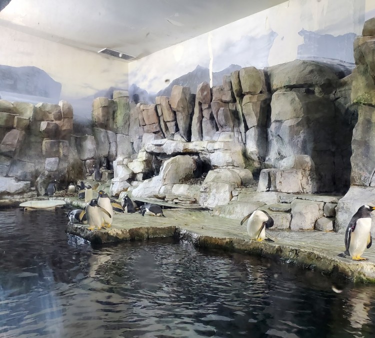 Loveland Living Planet Aquarium (Draper,&nbspUT)